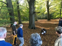 plaatje: Extra lentewandelingen natuurbegraven bij Natuurwens